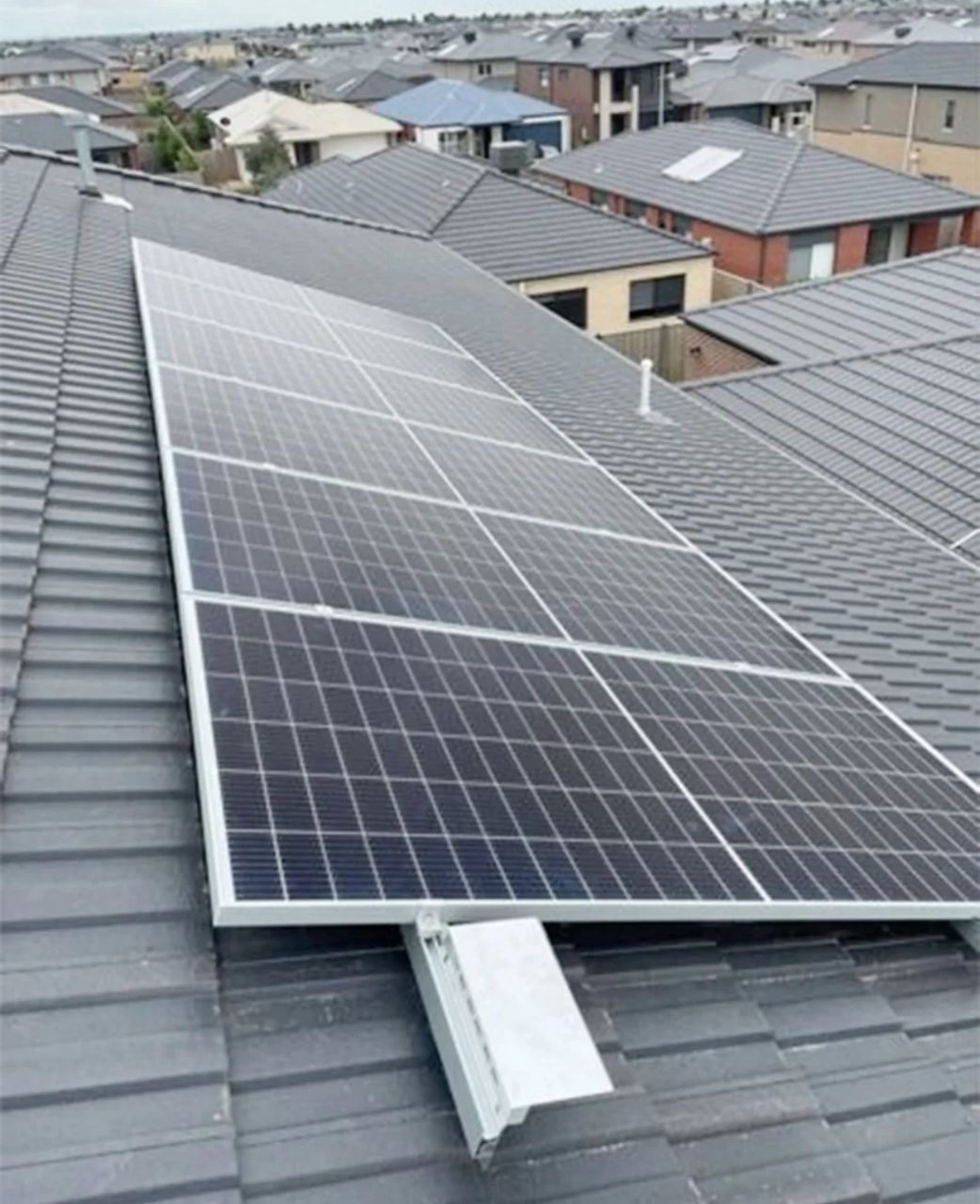 WhatsApp Image 2026-02-01 at 9.17.11 PM